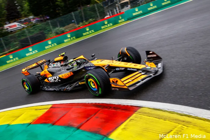 Mercedes kreeg er onder natte omstandigheden niet dezelfde tijden uit als Red Bull.