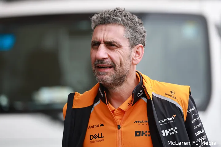 andrea-stella-mclaren-brazilie-vrijdag