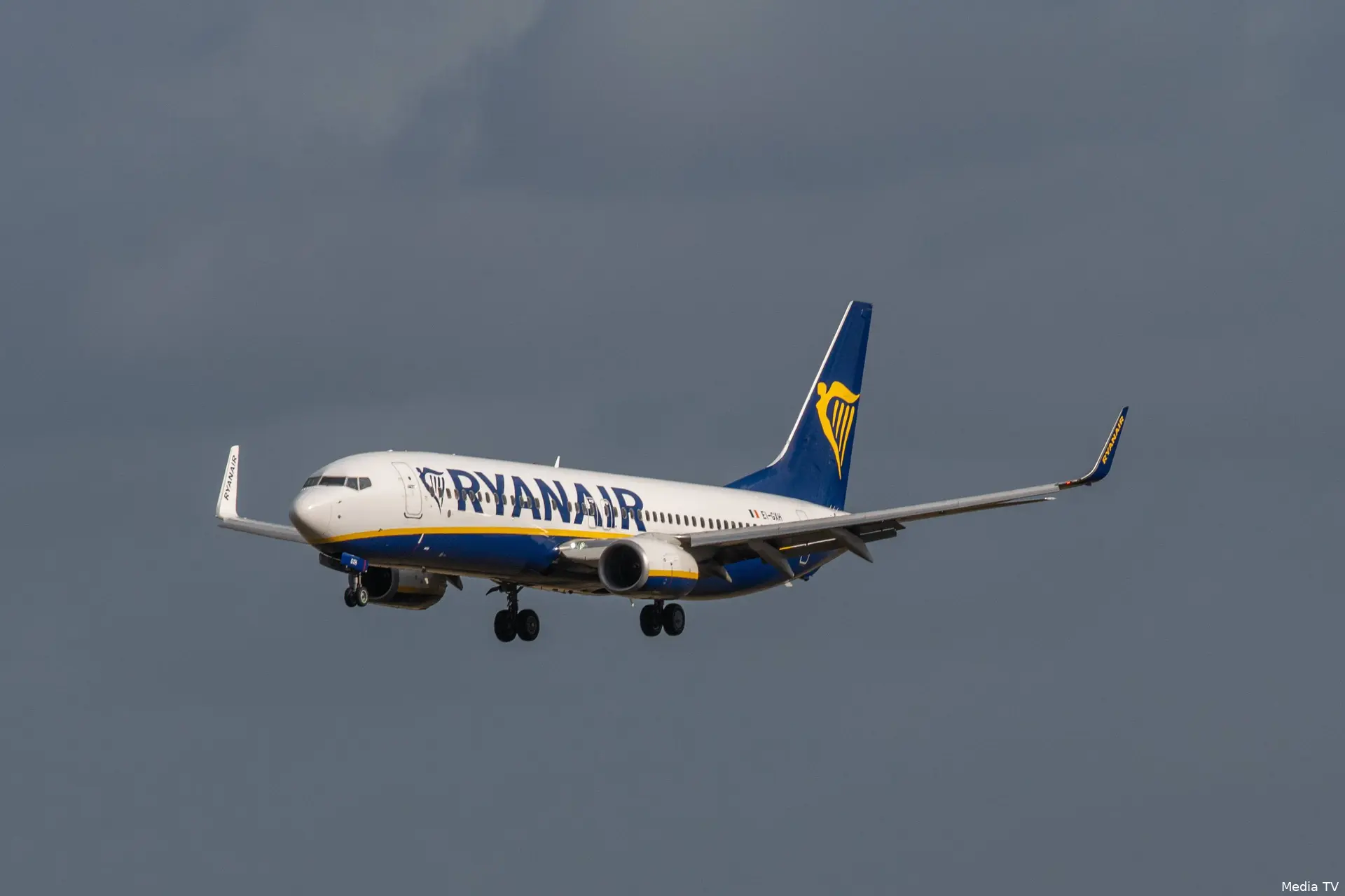 ANP-536521789