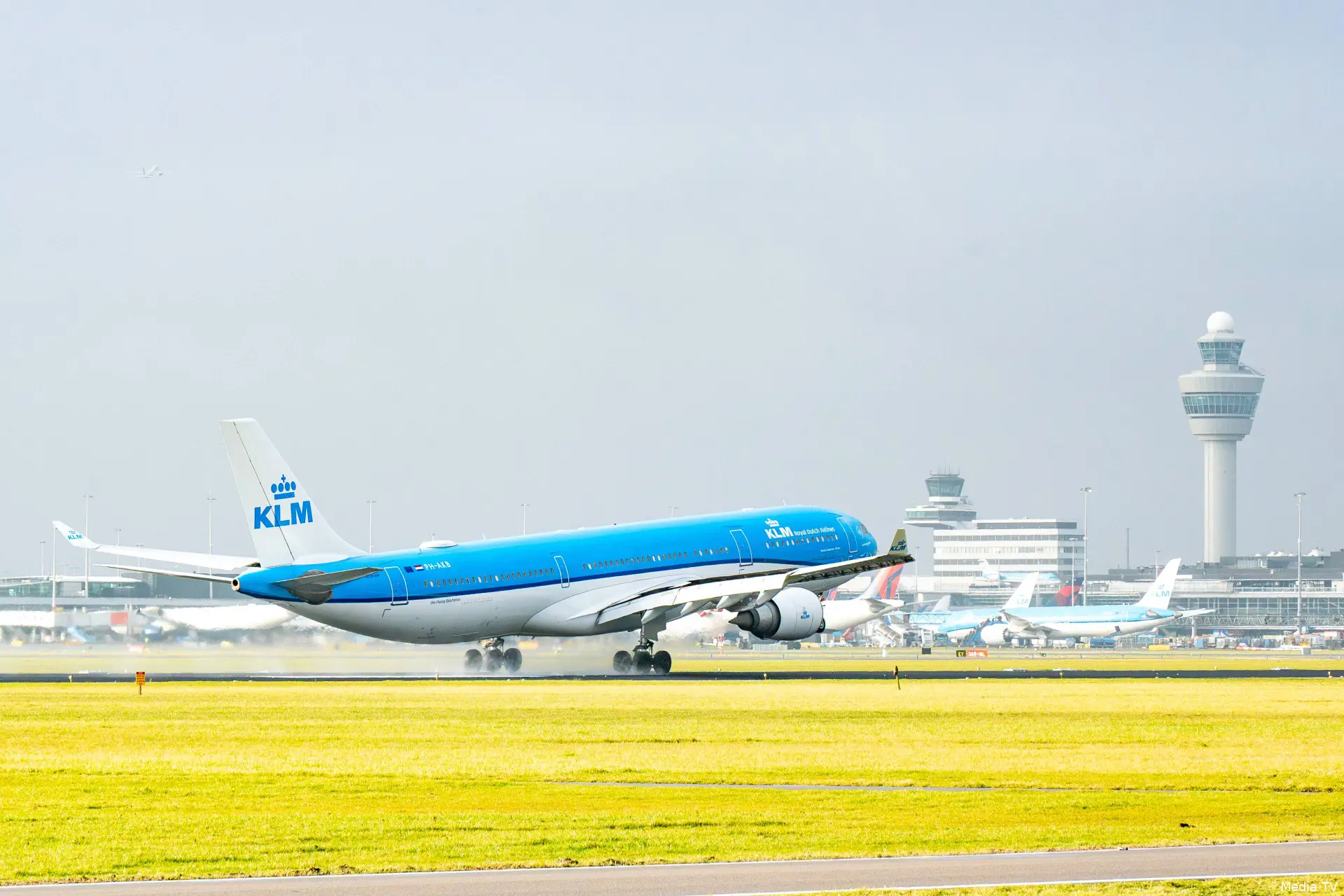 ANP-550757949
