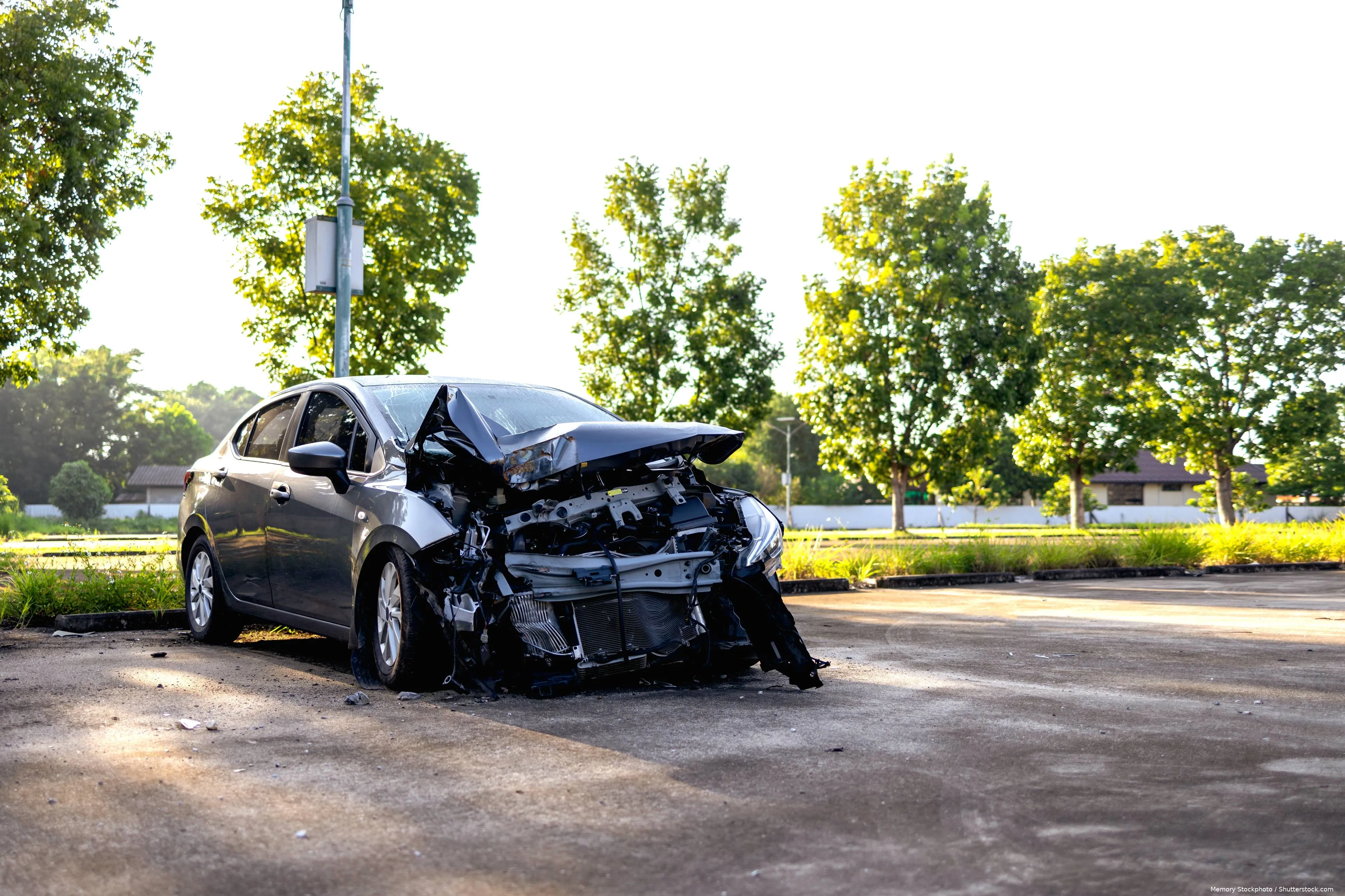 shutterstock_2213170089