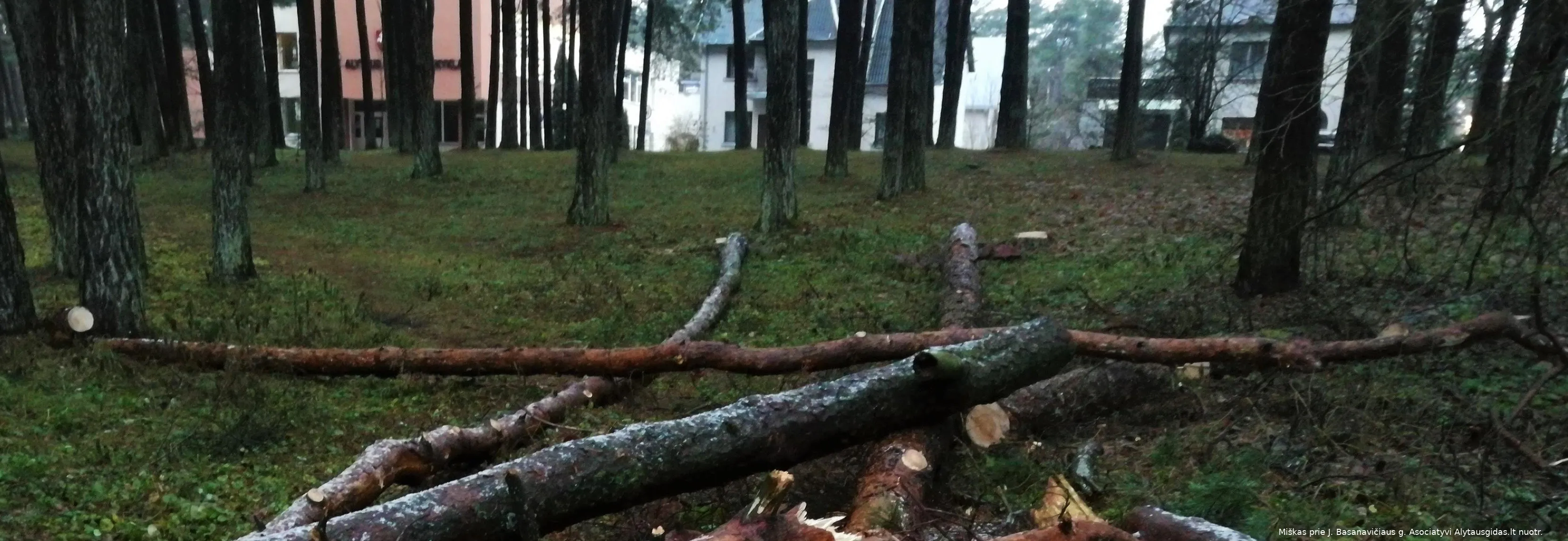 misbasimg 20181212 155337