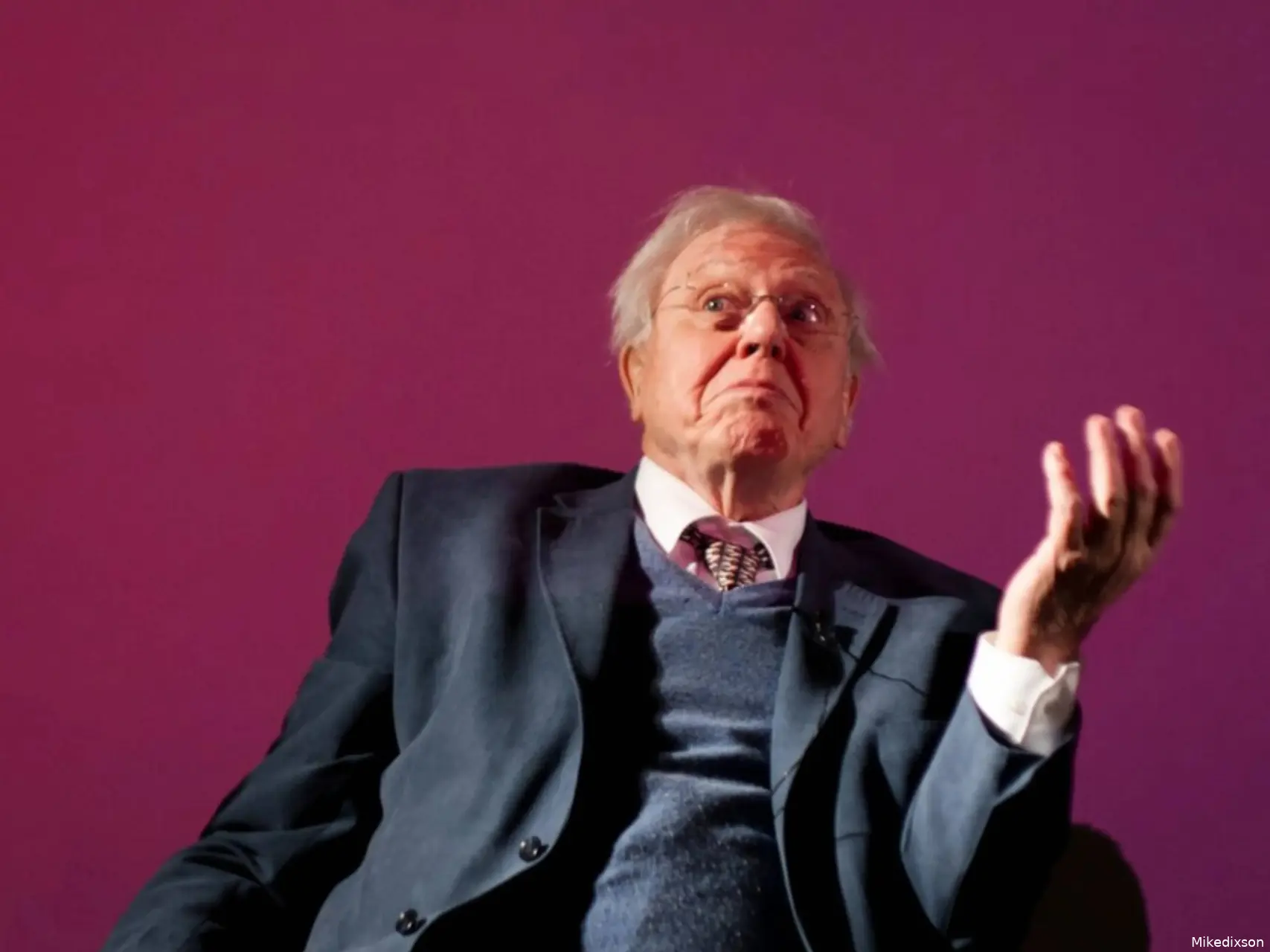 David Attenborough (1)