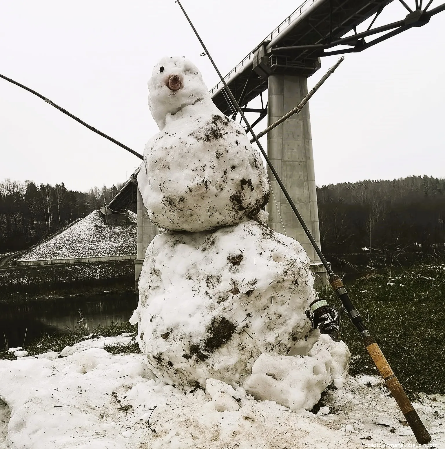 zuv317842436 566214042181108 7130022252844983986 n