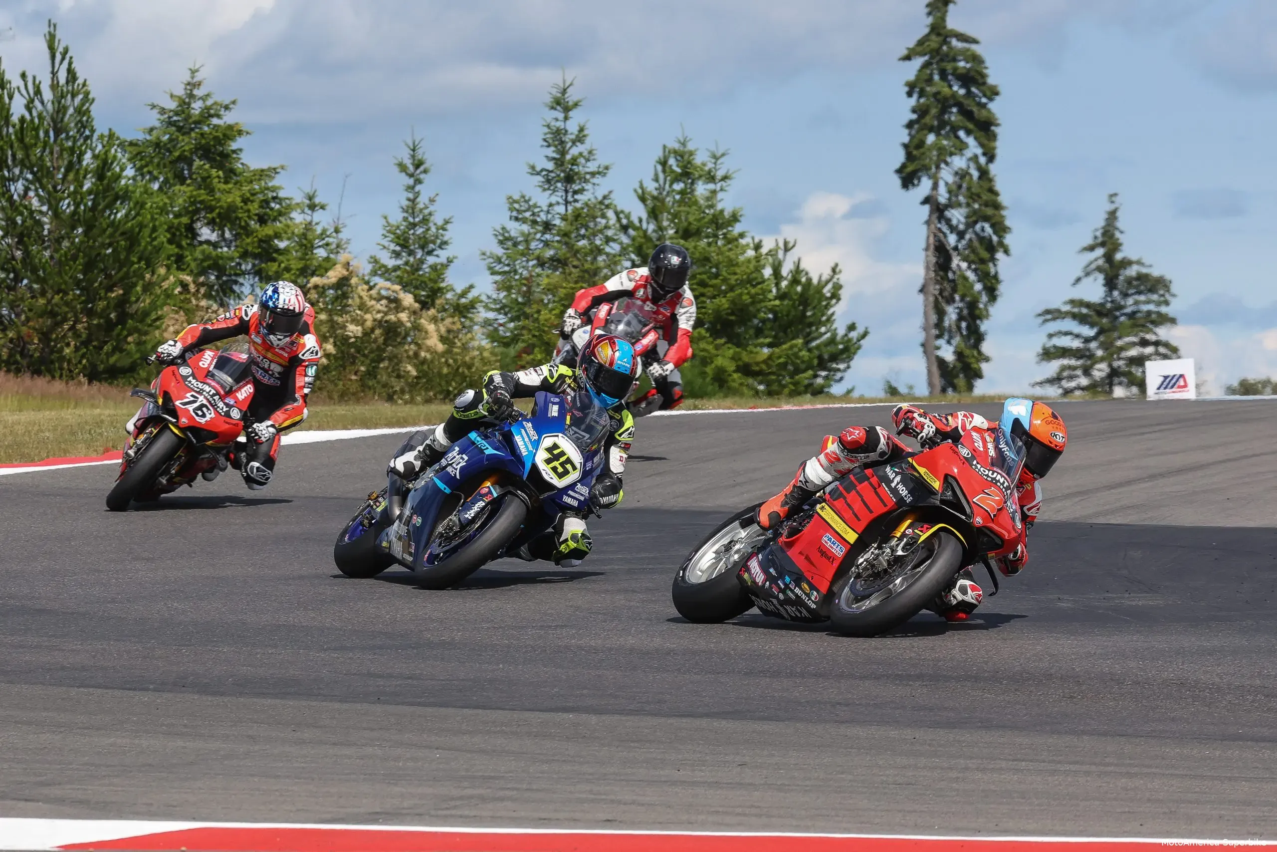 bjnb1132 p scaledjpg