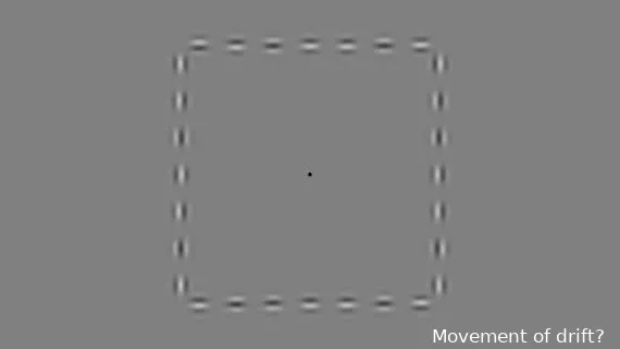 illusionotyear