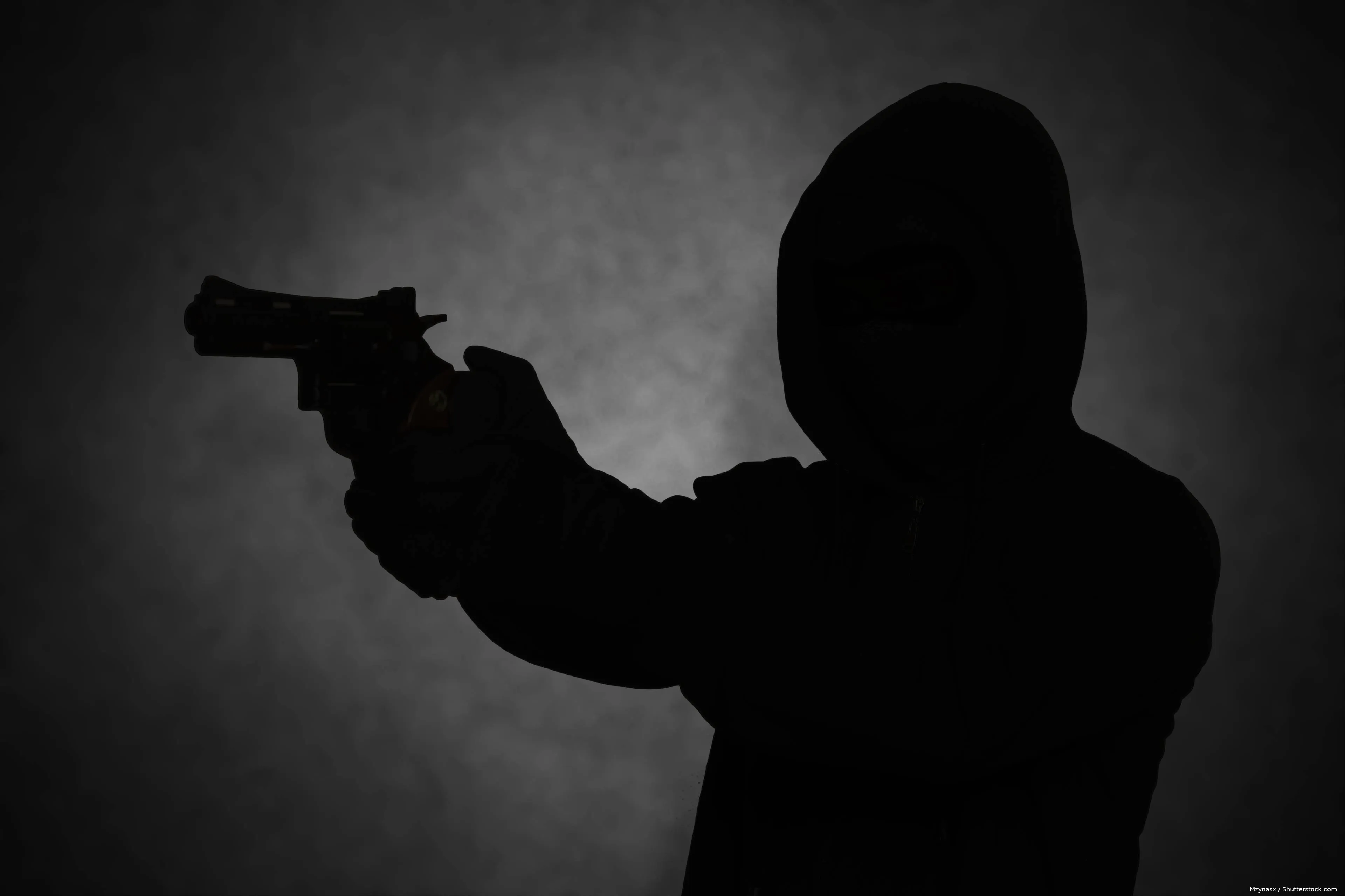 shutterstock_2291882355