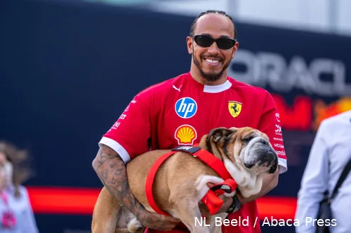 lewis-hamilton-roscoe-2025
