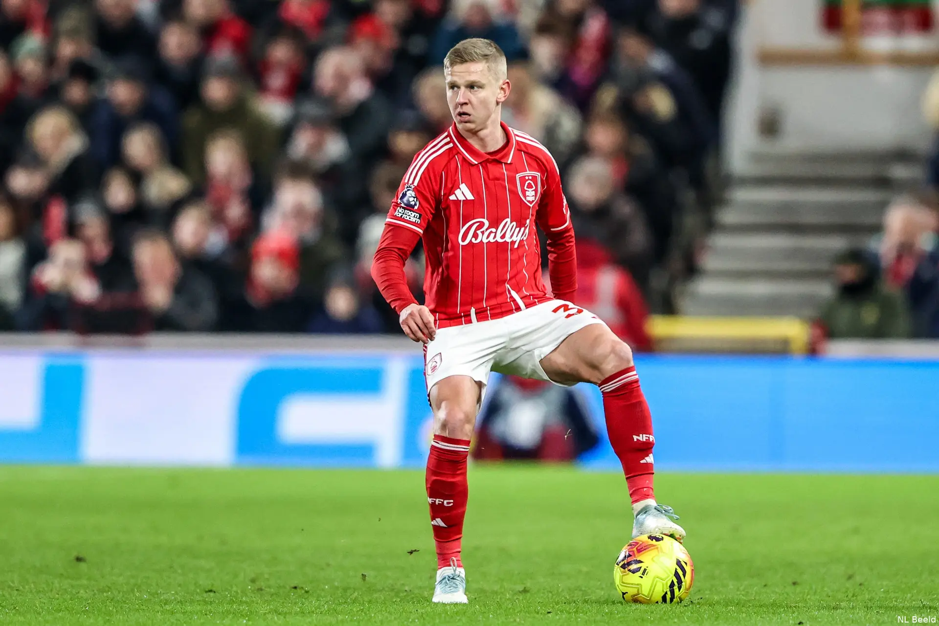 Zinchenko-forest-2025