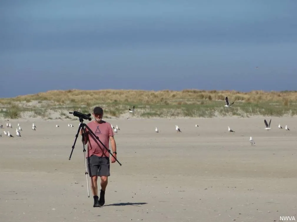 Lezing Vogelwachter op Rottumerplaat