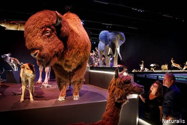 naturalis-zaal-leven