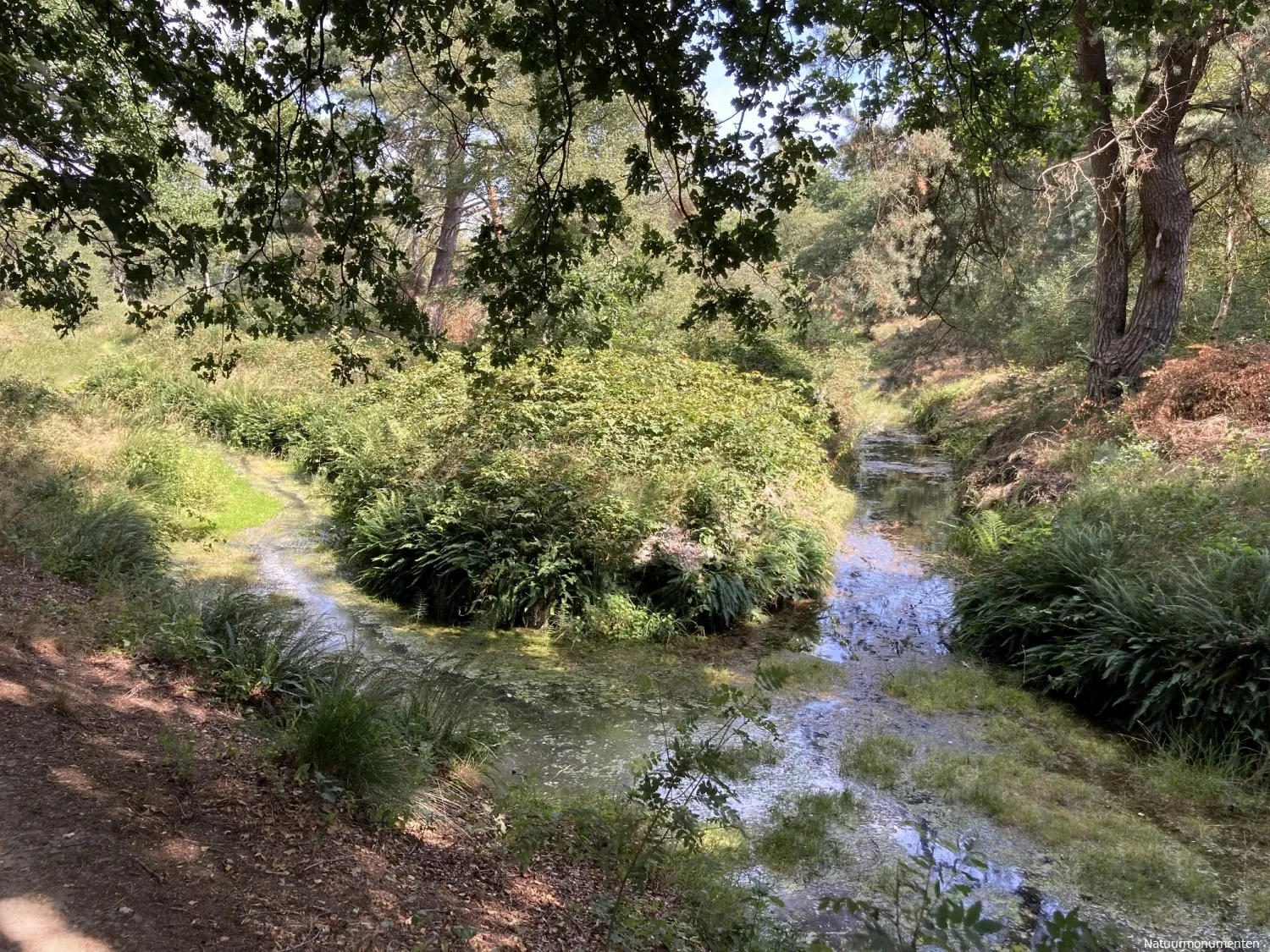 start uitvoering recreatiezonering in natuurgebied wolfheze