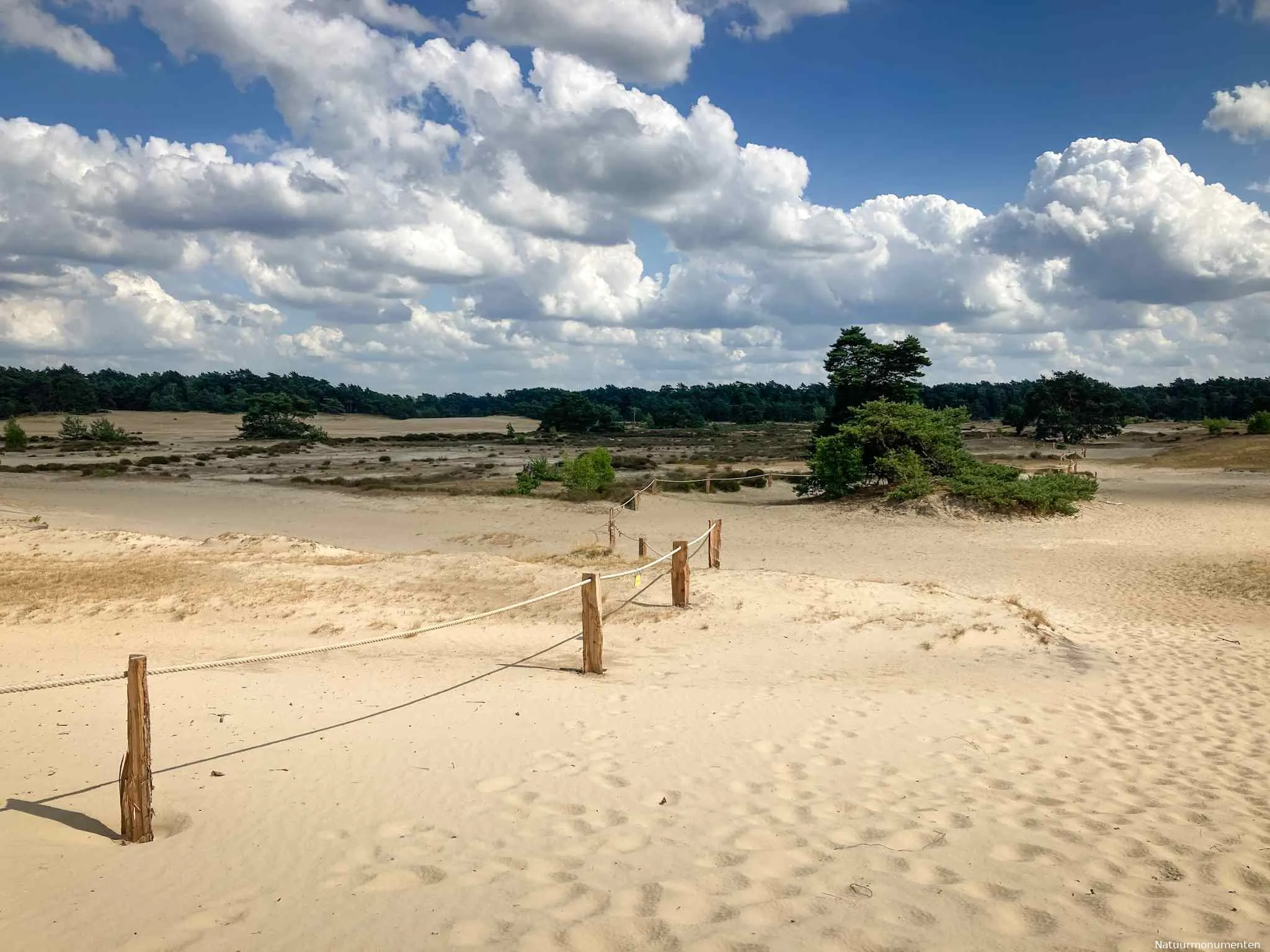 broedseizoenafsluiting hulshorsterzand foto natuurmonumenten