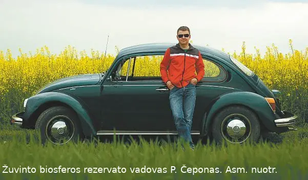 cepovabalas