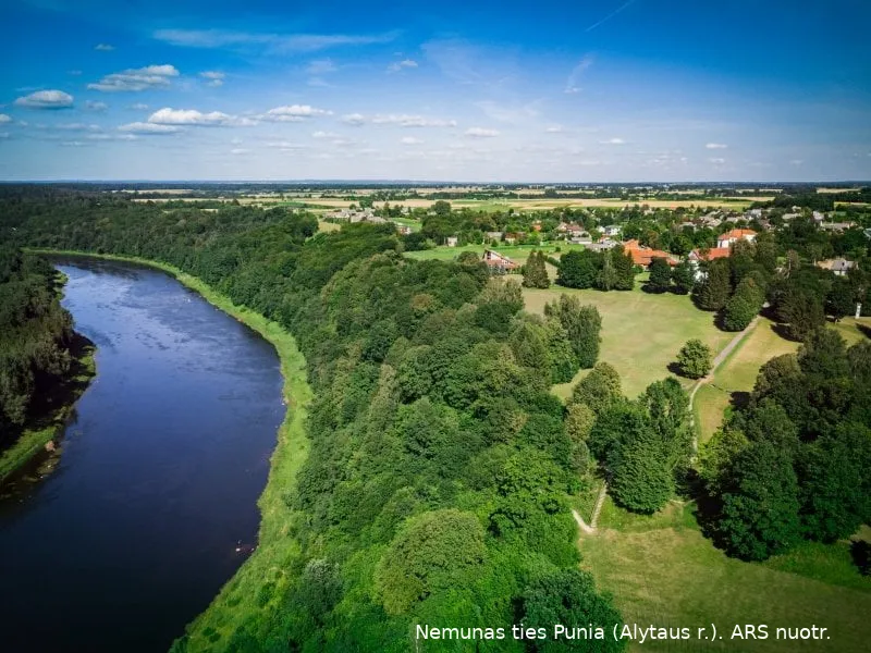 nemunas ties punia