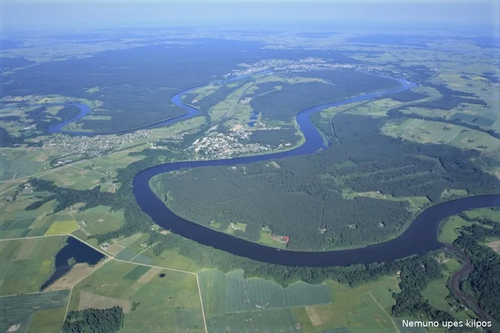 nemkil308104090 465394788963663 5190165871302455029 nss