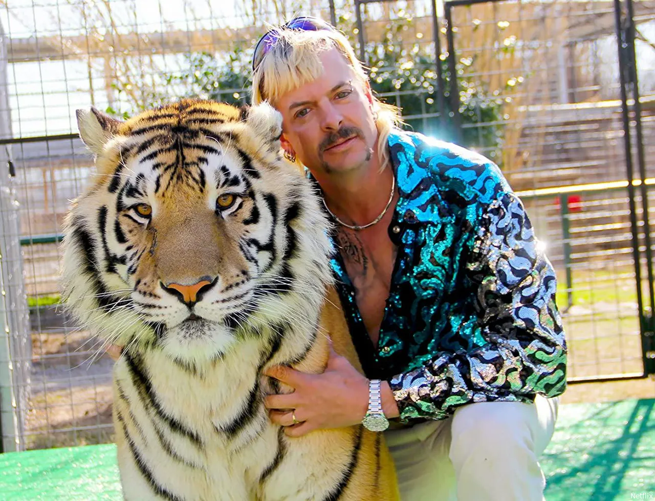 tiger king docuf1595960515