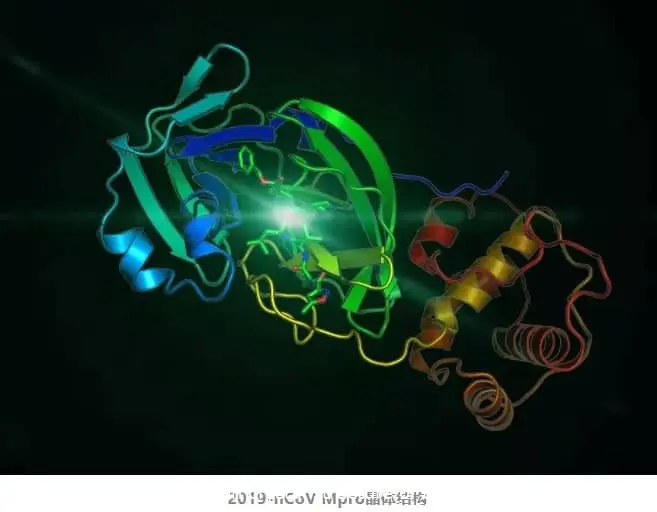 coronavirus b