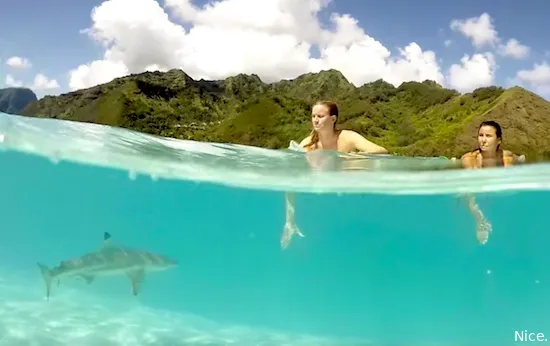gopro2