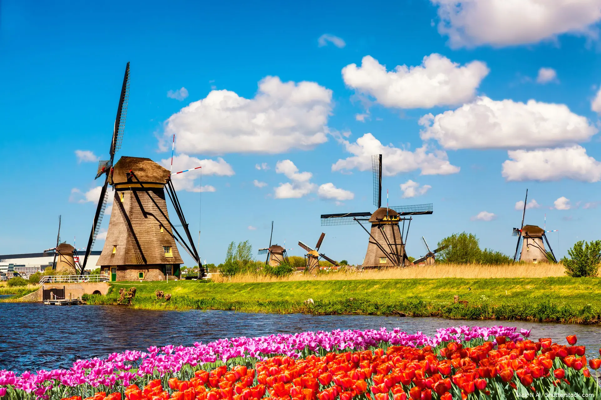 shutterstock 1440654434