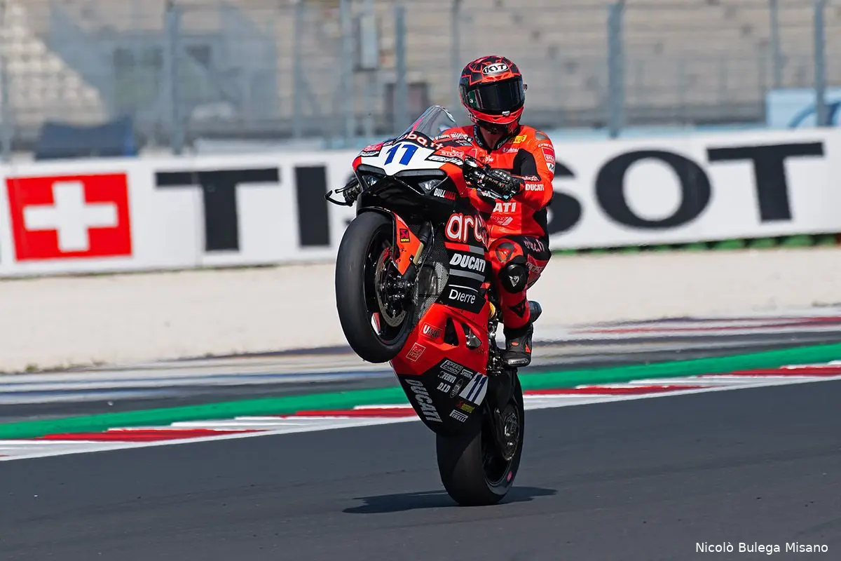 bulega impennata
