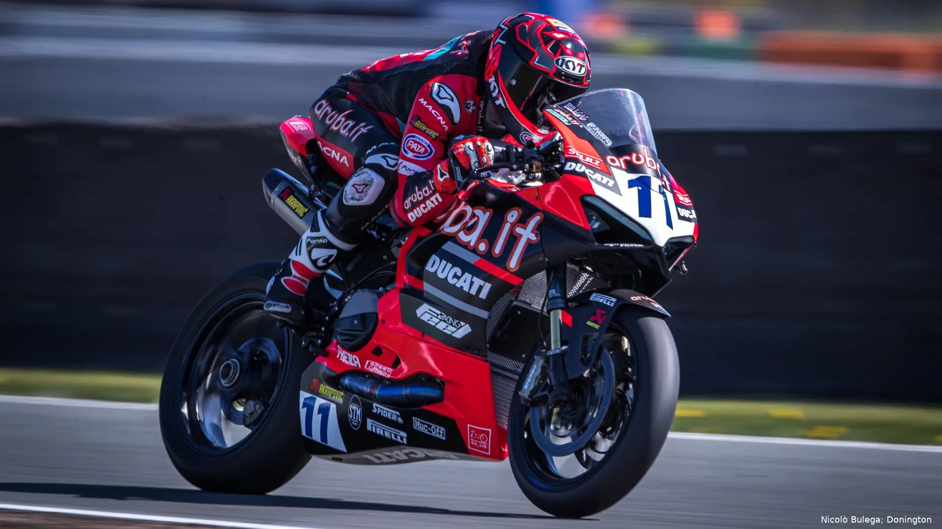 bulega