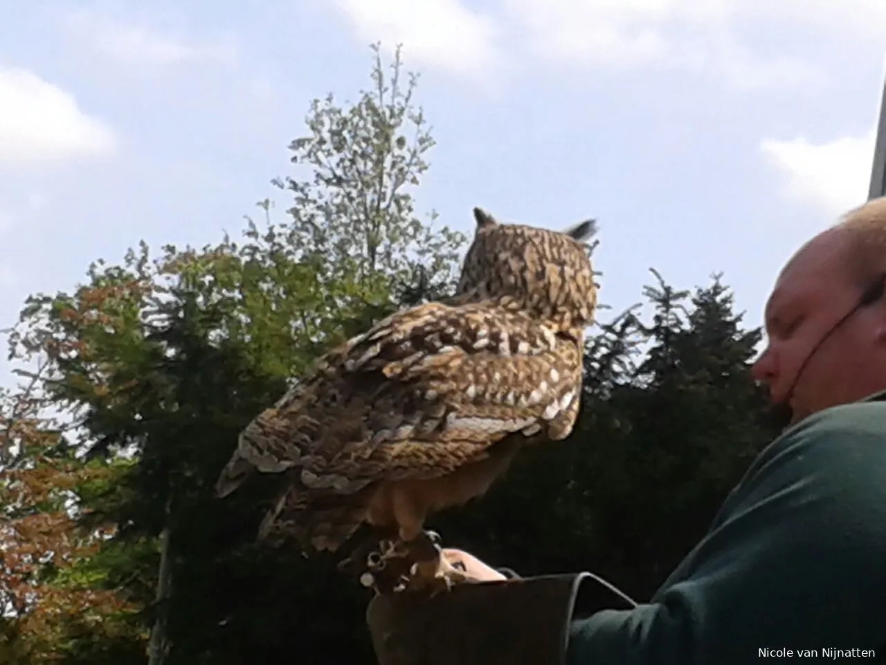 150510 roofvogelshow nicole van nijnatten 3