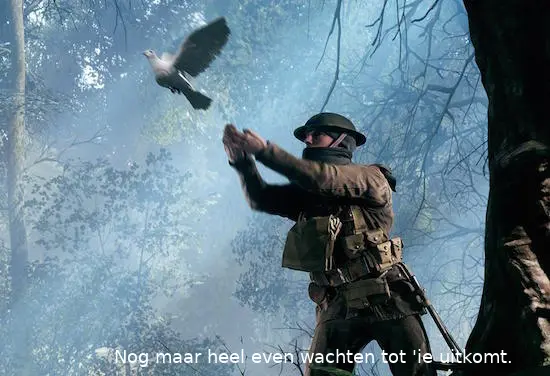 battlefieldpigeon