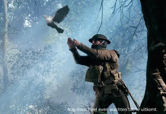 battlefieldpigeon