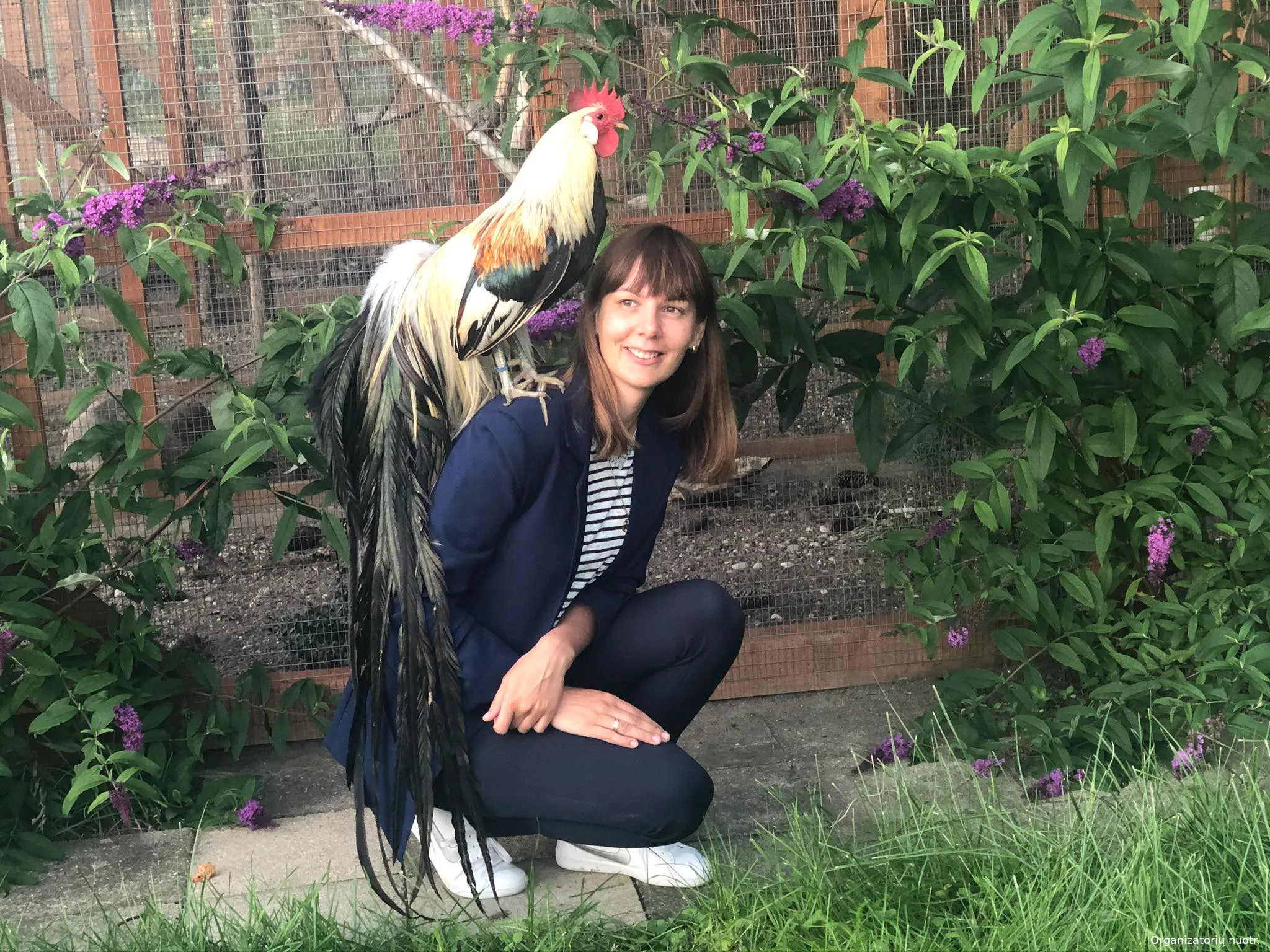 407083757 235517112830320 6035442229589051716 n