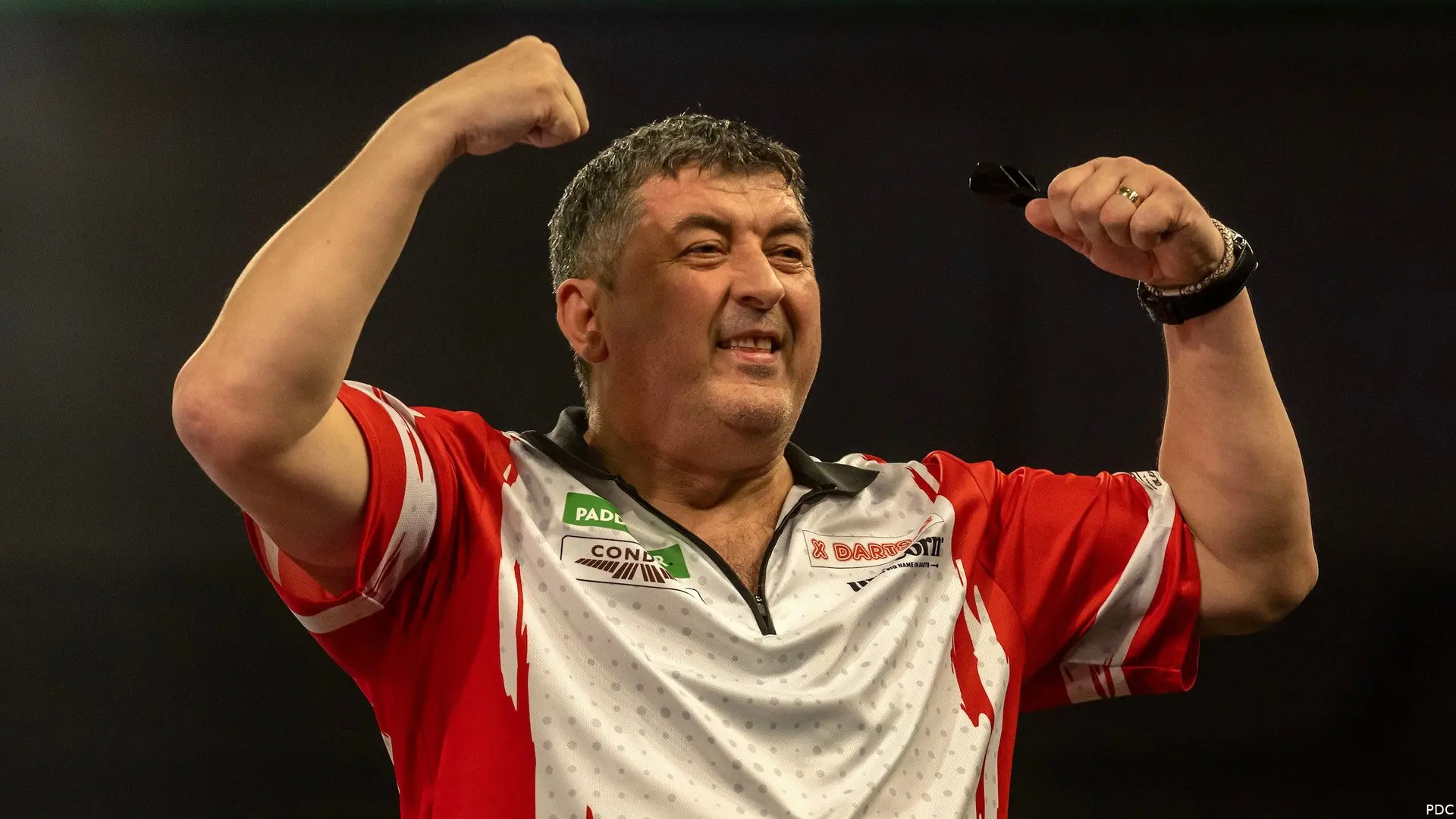 mensur suljovic 5