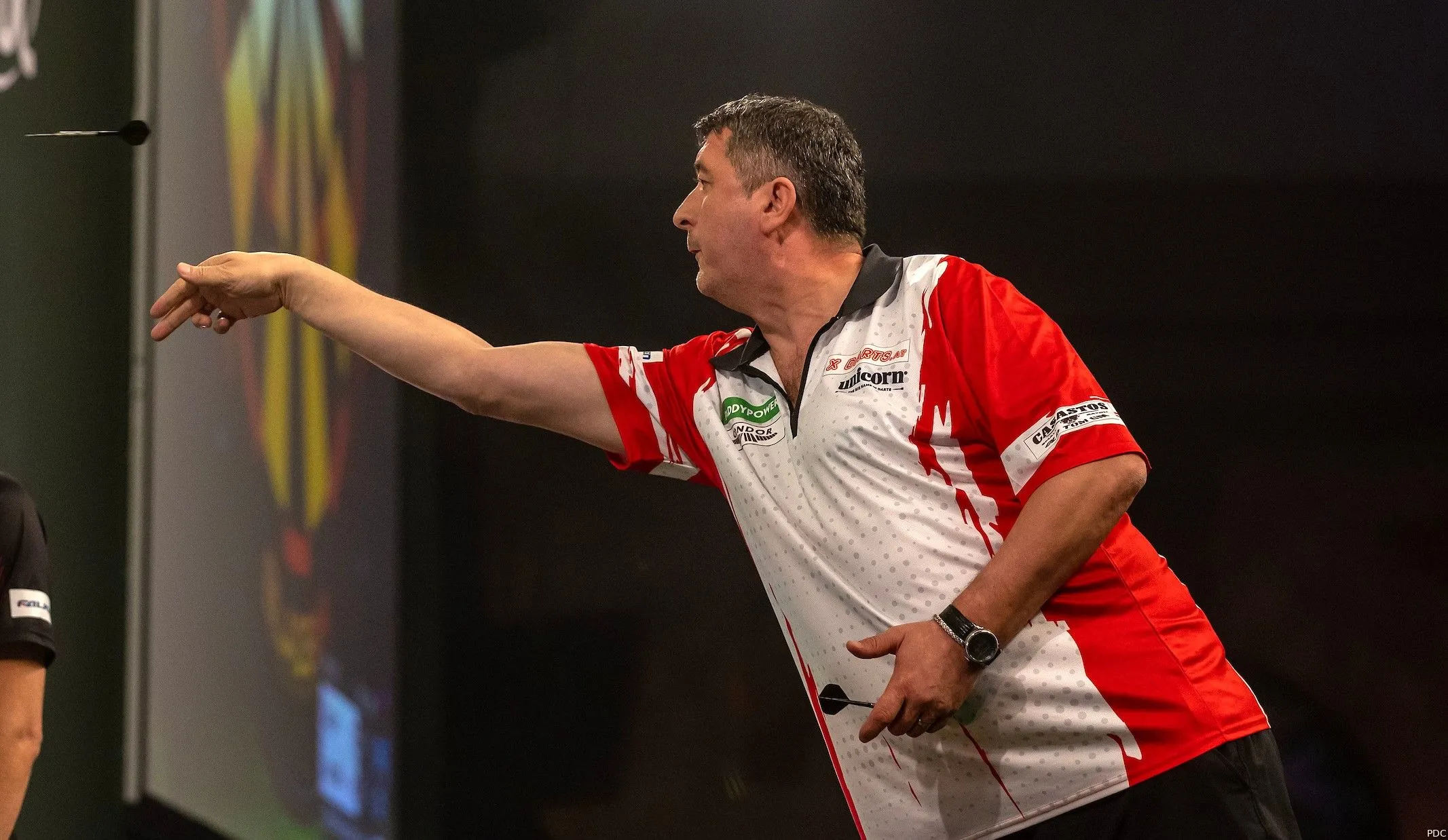 mensur suljovic 1