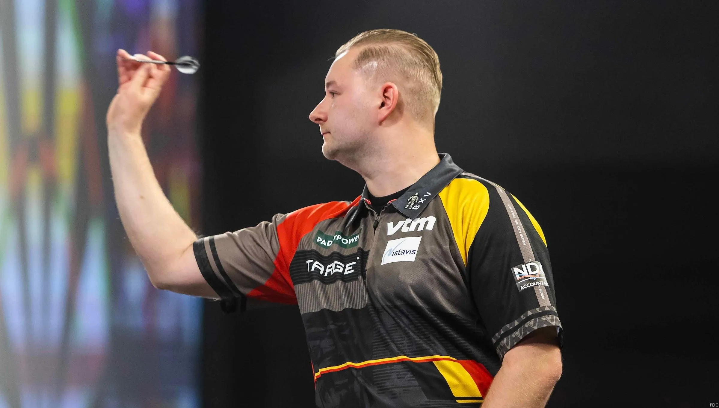 dimitri van den bergh 2