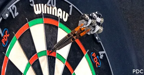 winmau dartboard