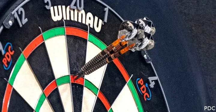 winmau dartboard