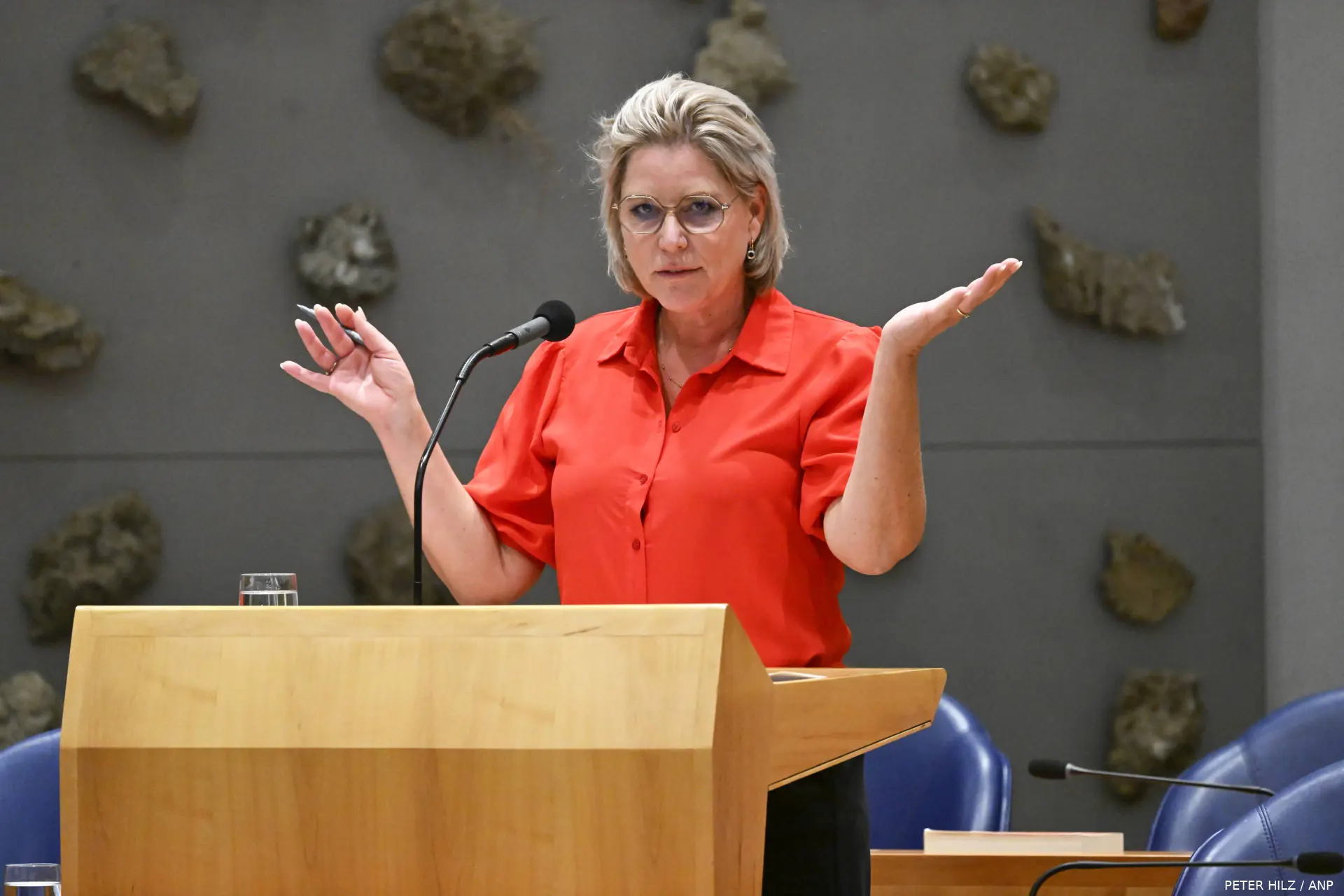 ANP-567957098