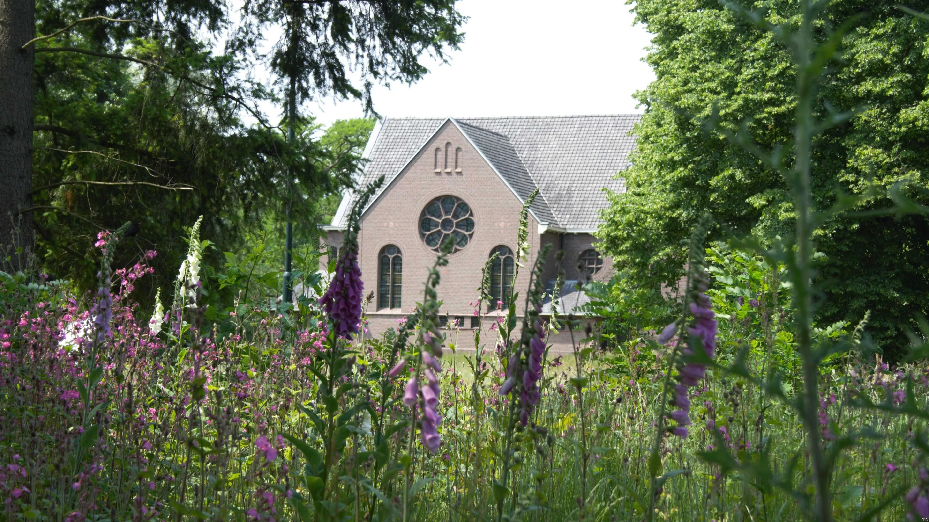 zomerdienst wolfheze ep