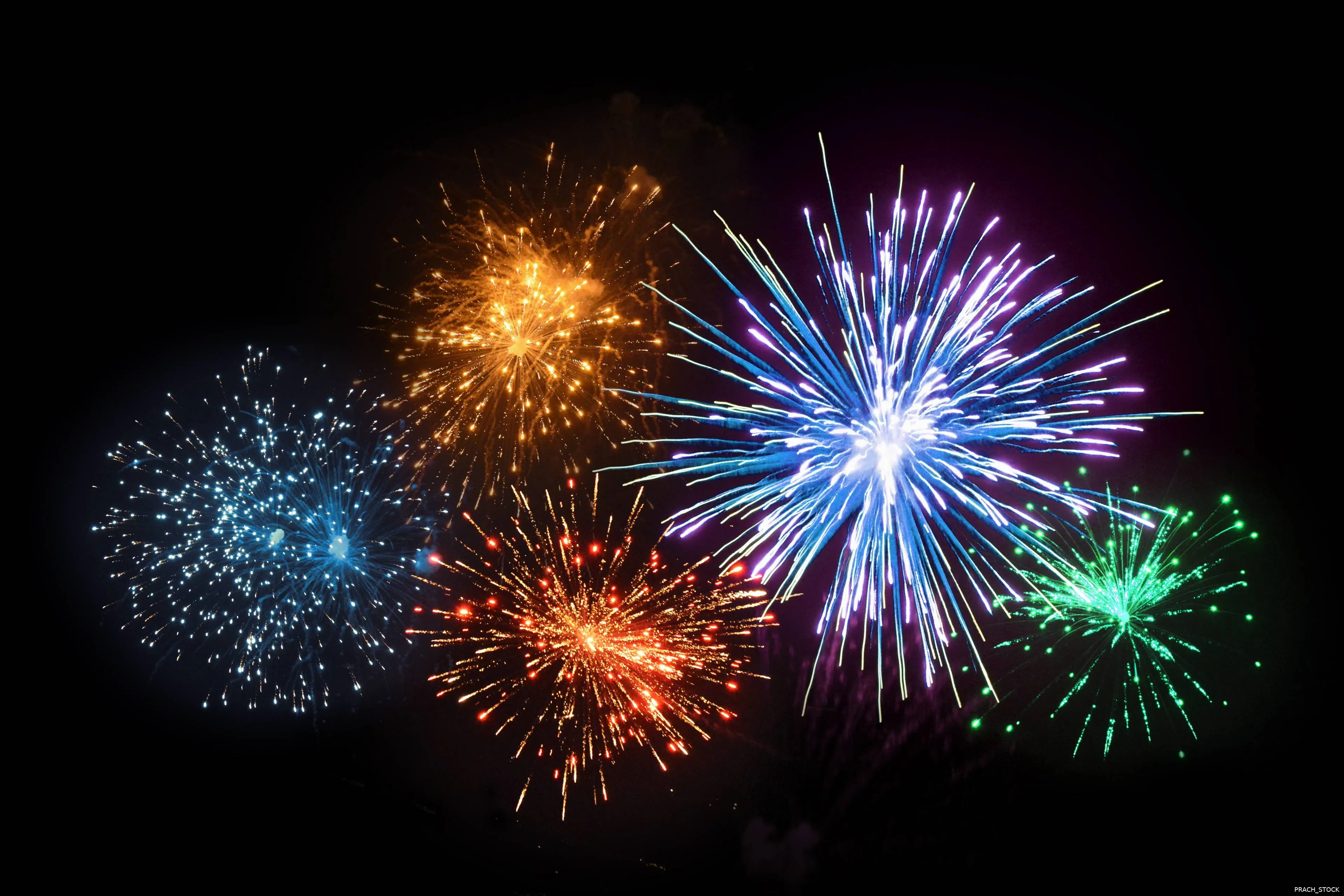 shutterstock_2593360503