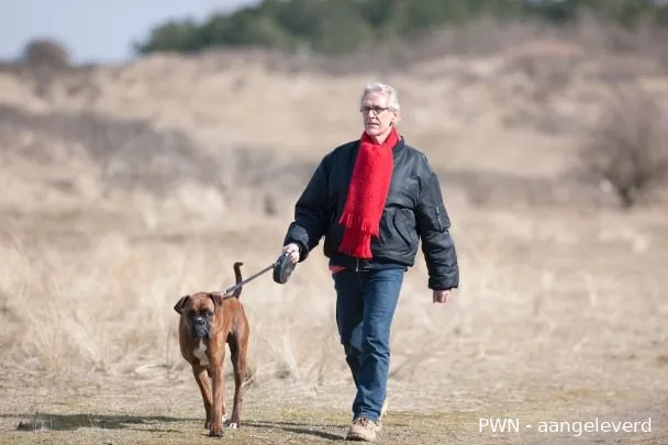 honden uitlaten wurmenveld pwn aangeleverd