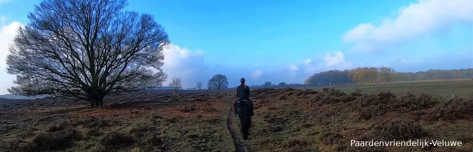 paardenpaardenvriendelijk veluwecropped omslag test 1