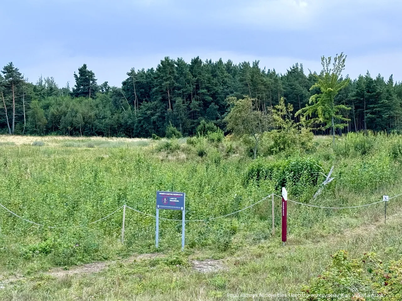 Paplūdimys Nidoje ties Grobšto rezervatu / Kas vyksta nuotr.
