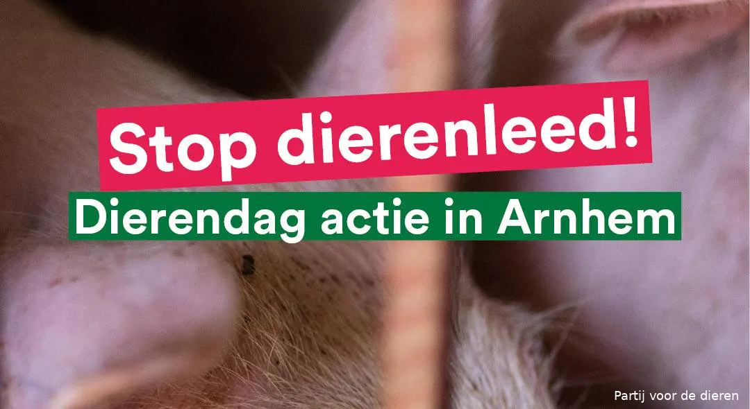 Actie van Partij voor de Dieren in Arnhem