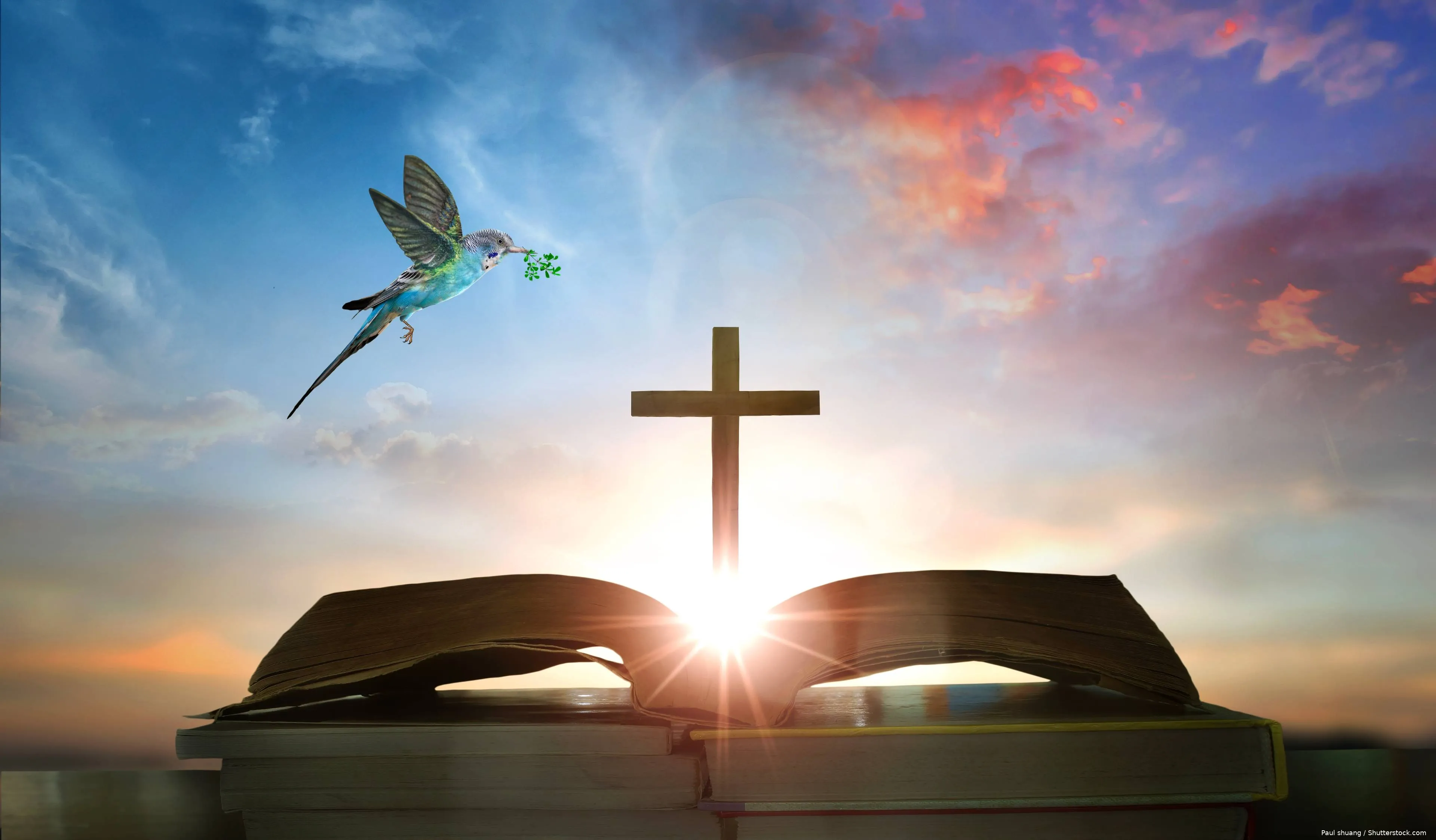 shutterstock_2548629757