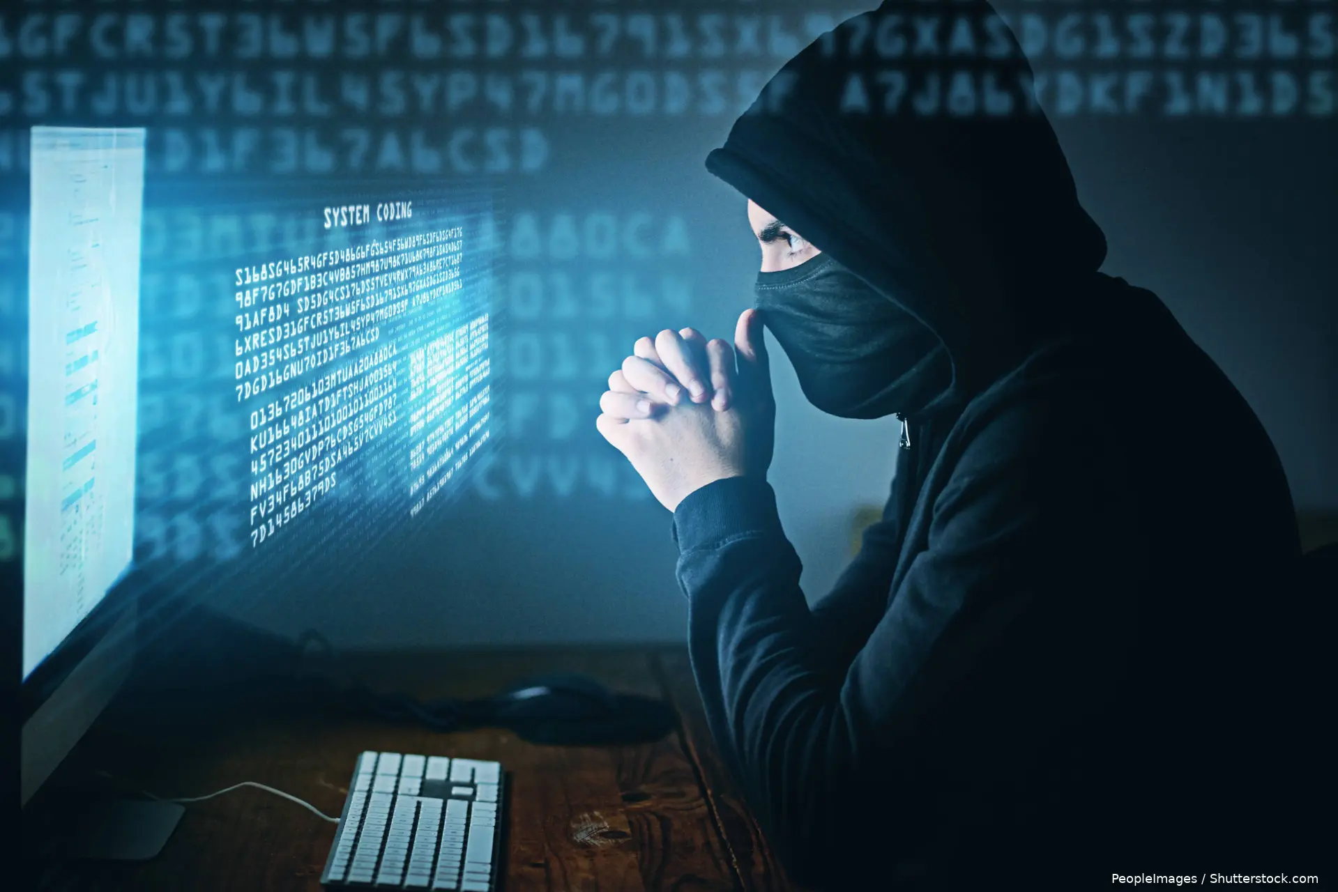 shutterstock_2472679593