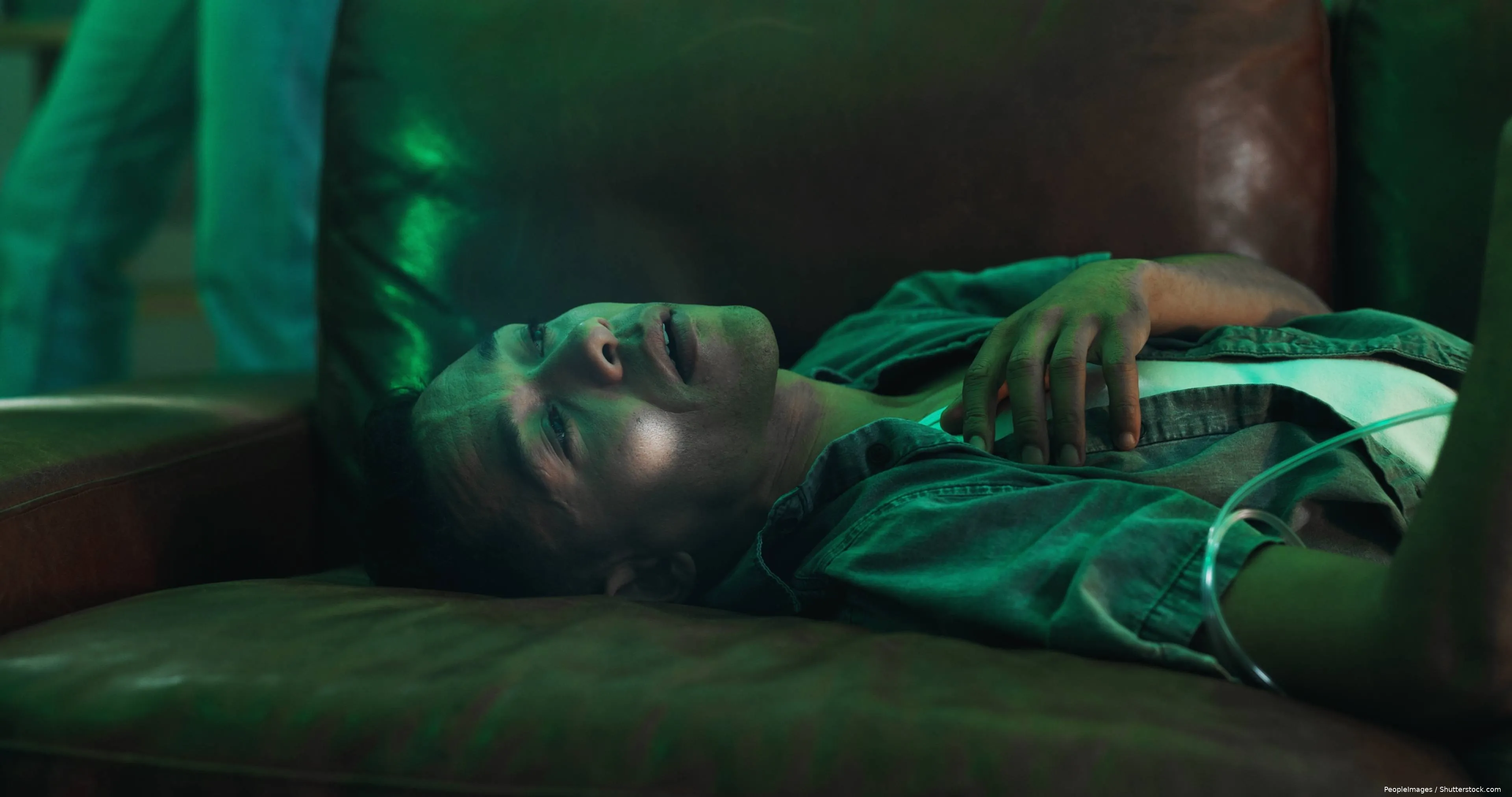 shutterstock_2529528957