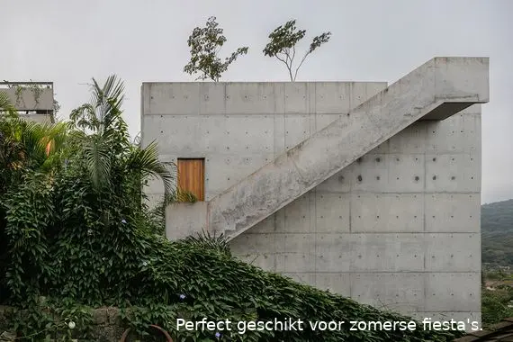 brazil house17