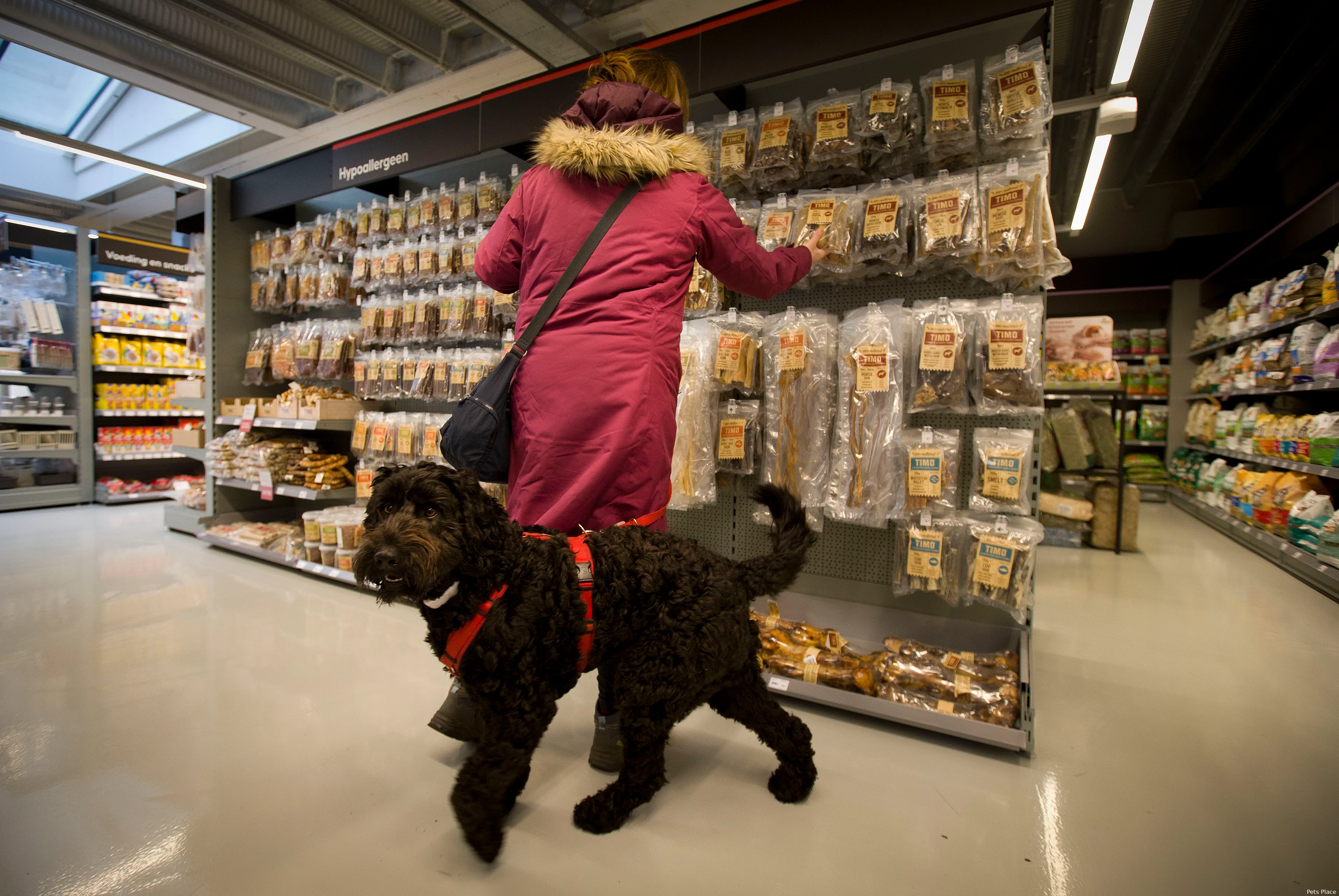 pets place opening lelystad pets place