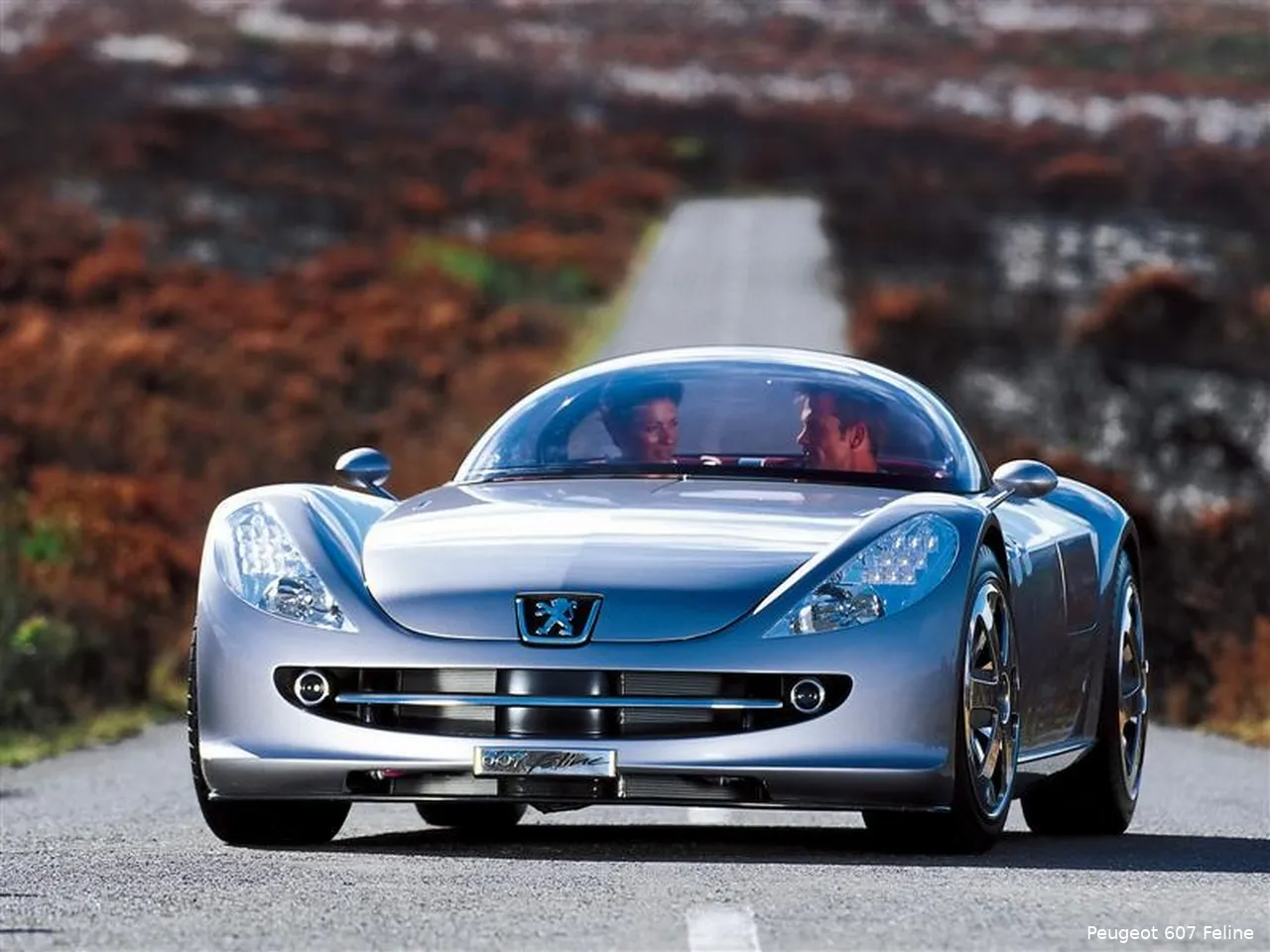 peugeot 607 feline concept 02