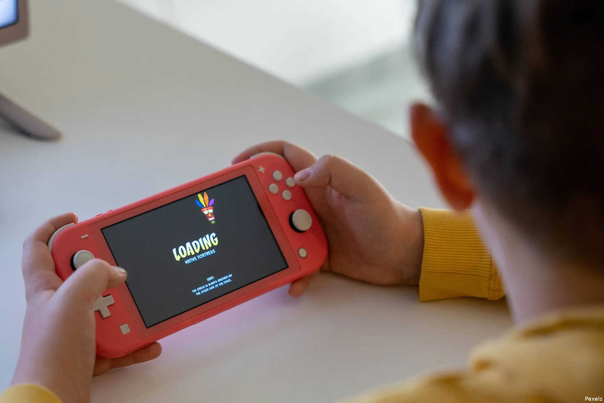 switch lite