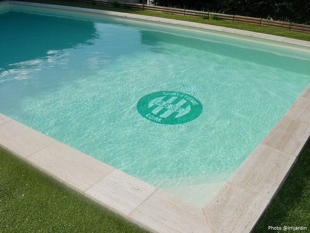 asse des fans s offrent un cadeau original a 1 000 euros asse212037